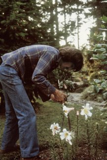 The George Harrison Woodland Walk To Be Opened in Liverpool